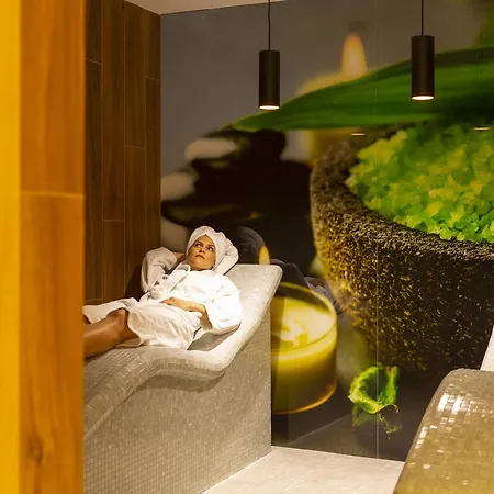 马卡尔斯卡公园酒店 酒店 4*