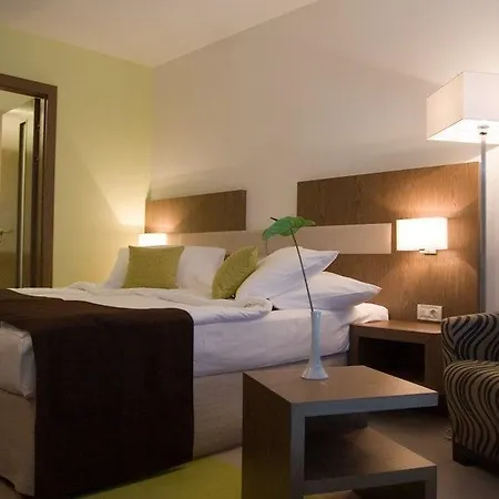 Otel Park 4*
